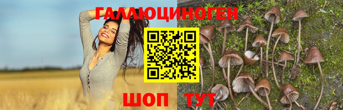 Псилоцибиновые грибы ЛСД Кострома